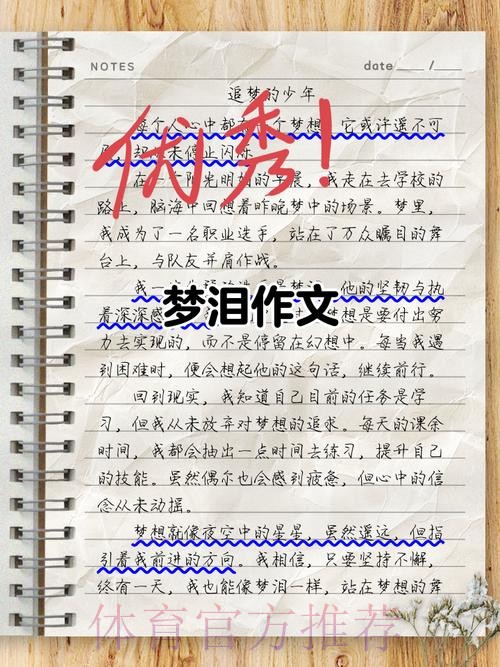 回望|中国之队的2017 梦里依稀有泪光 梦想不止在路上